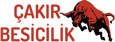 Çakır Besicilik